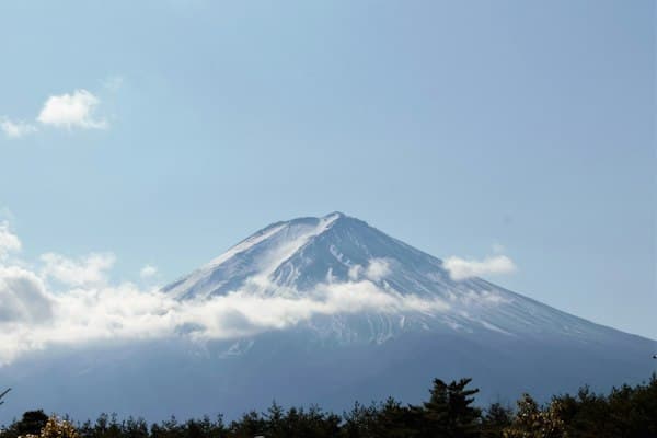 Kilimanjaro