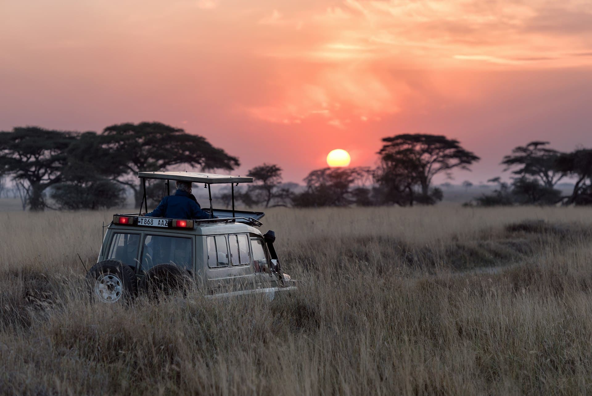 Serengeti at sunrise with wildebeest